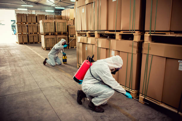 Best Exterminator Services  in Sedalia, MO