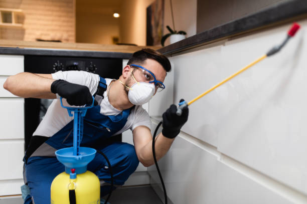 Best Termite Control Services  in Sedalia, MO