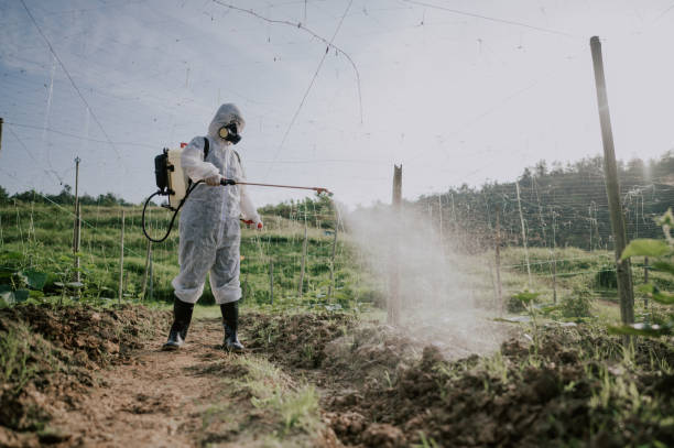 Best Commercial Pest Control Services  in Sedalia, MO