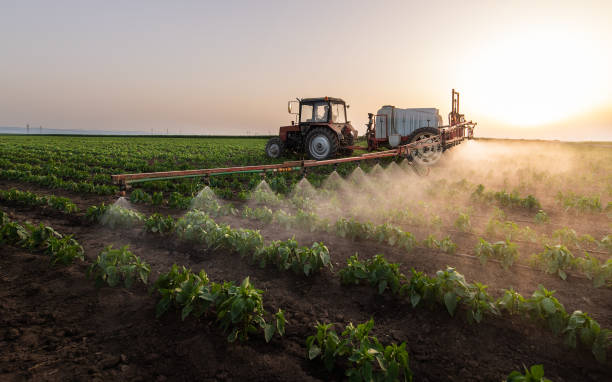 Best Commercial Pest Control Services  in Sedalia, MO