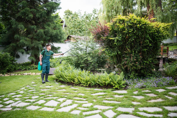 Best Best Pest Control Companies  in Sedalia, MO