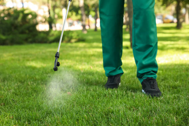 Best Pest Control Near Me  in Sedalia, MO