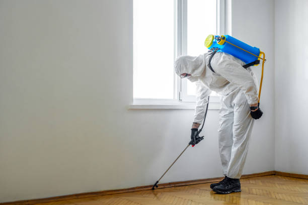 Best Best Pest Control Companies  in Sedalia, MO