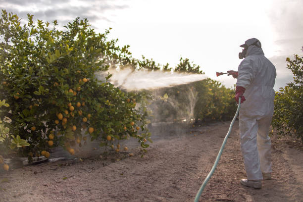 Best Pest Control Treatment  in Sedalia, MO
