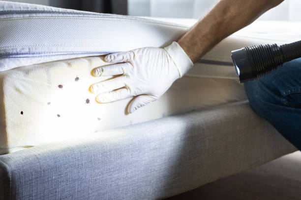 Pest Control Cost in Sedalia, MO
