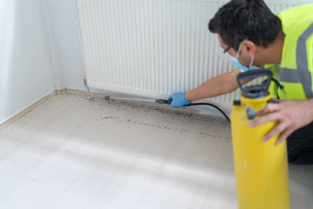 Best Exterminator Services  in Sedalia, MO