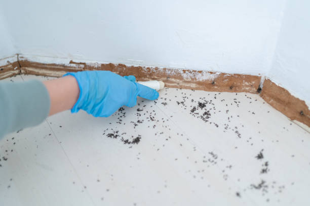 Sedalia, MO Pest Control Company