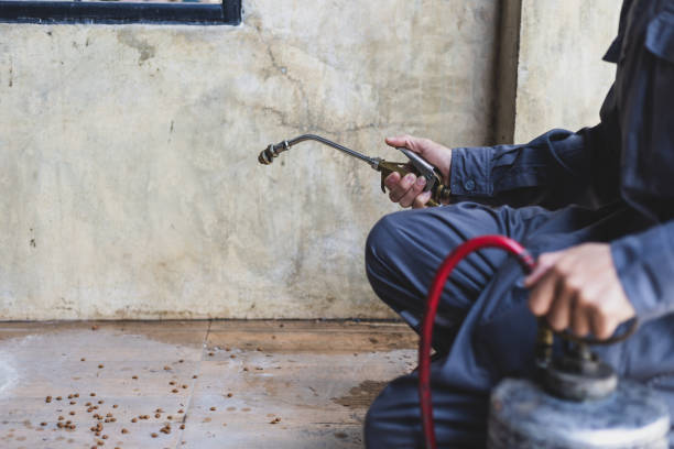 Best Pest Removal Services  in Sedalia, MO