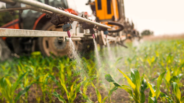 Best Mosquito Control Services  in Sedalia, MO
